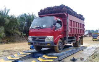 timbangan kelapa sawit